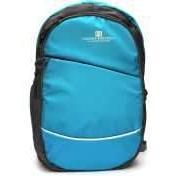 Backpack 20 L Laptop Backpack  (Blue)