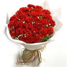 Red Carnations (बंगैचे फुल ) 50 PCs