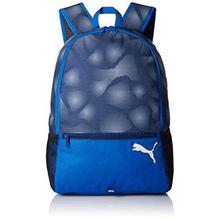 Puma 25 Ltrs Lapis Blue Laptop Backpack (7471202)