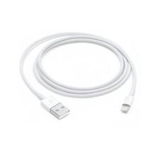 Apple Lightning to USB-C Cable (1 m)