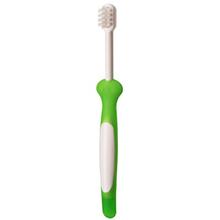 Pigeon Training Toothbrush - Lesson 1 - Green