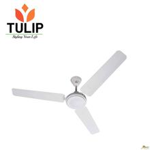 Tulip Ceiling Fan A STAR-48