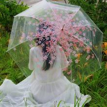 Transparent Cherry Blossom Bubble Dome Umbrella