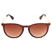 Shaded Brown Cat eye Wayfarer Sunglass