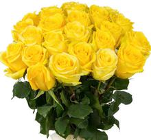 Yellow Roses – 25 PCS