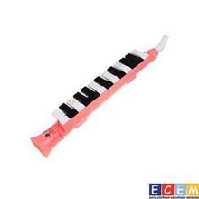 13 Key Piano Melodica Children Educational Instruments