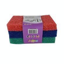 Sponge Scourer