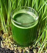 Sara Wheat Grass Juice (500ml)