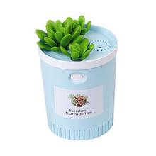 Car air purifier_succulent humidifier household air purifier