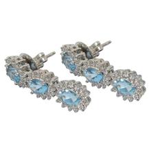 Blue/White Zircon Studded Sterling Silver (92.5% Silver) Earrings For Women - 114