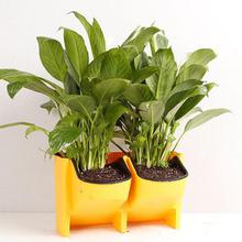 2-Pocket Stackable Vertical Wall Flower Pot (Self Watering)