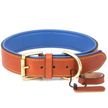 PetsUp Dog Collar Neck Belt for Small To Large Dogs (Medium,