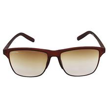 Creature Black and Brown Matt Finish Unisex Wayfarer