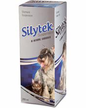 Silytek