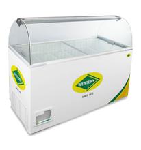 Western Scooping Parlor Freezers WHS525G