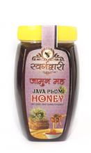 Organic Java Plum Honey - 1kg