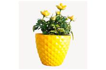 Bunch 19 yellow Rose Regular Pot 15 cm