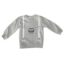 Grey Owl Printed Sweatshirt For Baby Boys