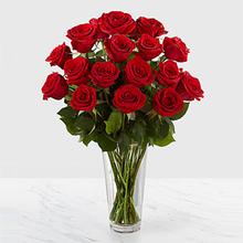 Red 1 Dozen Roses