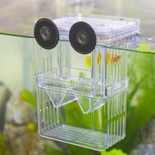 Double Deck Clear Fish Breeding Isolation Box Aquarium Breeder