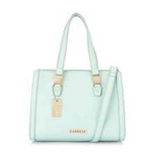 Caprese Eleanor Satchel Medium Mint Green