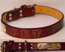 Collar W/Name Tag 18