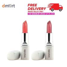 SoulTree Lipstick Deep Blush 820 And Lipstick Iced Plum 520 (Combo Pack)