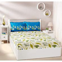 Amazon Brand - Solimo Lily Bloom 144 TC 100% Cotton Double