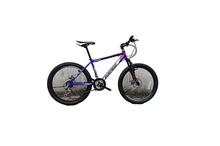 Everest Mountain Bike 24" Size