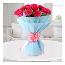 12 Pink Carnation With Blue Non Woven Paper Packing Bouquet