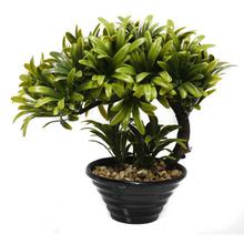 Green Decorative Artificial Plant With Pot