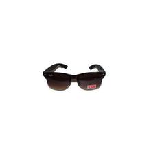 Ray-Ban Brown Sunglasses