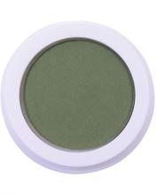 Paese Cosmetics Kashmir Matte Eyeshadow 668