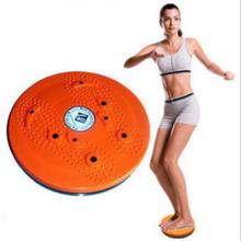 Twisting Disc Weight Loss Fitness Equipment Twister