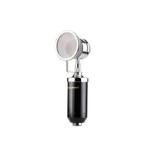 BM 8000 Condenser Sound Studio Recording Broadcasting Microphone+Pop Filter+Shock Mount