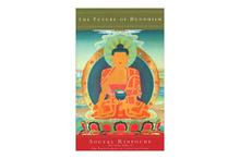 Future Of Buddhism - Sogyal Rinpoche