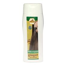 Solution Herbal Ginger Shampoo - 400 Ml