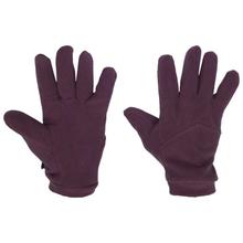 Plum Polar Fleece Unisex Gloves-AS2028