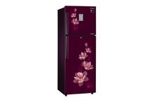 Samsung 275 ltr Double Door Refrigerator (RT30M3353R7)