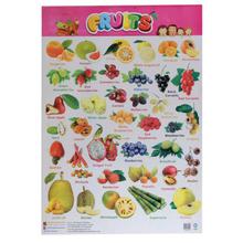 Fruits Educational Wall Chart Poster