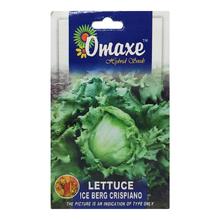 Omaxe Hybrid Seeds Of Lettuce Ice Berg Crispiano 40 Seeds