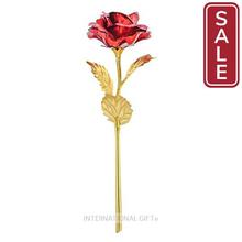 SALE-INTERNATIONAL GIFT Valentine Gift Red Rose and Photo