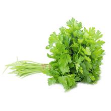 Fresh Coriander 1 bunch