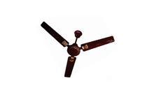 Baltra Tide Ceiling Fan