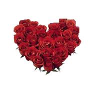 Grand valentine pack - 20 red rose Bouquet