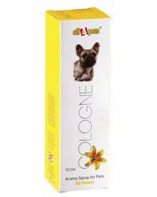 Cologne Lilly Flower - Pet Grooming
