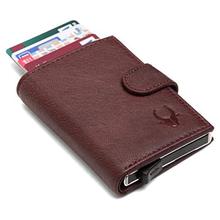 WildHorn Brown Men's Wallet