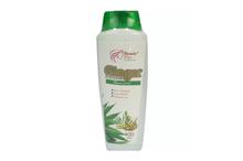 Beauty Plus Aloevera And Ginger Herbal Shampoo - 400ml