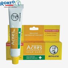 Acnes Scar Care For Pimple/Acne Scars 12g