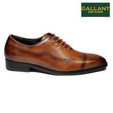 Gallant Gears Brown Formal Leather Lace Up Shoes For Men - (5231-9)